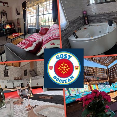 Le Cosy Occitan Villa Chaleureuse Independante Baignoire Terrasse Jardin Carcassonne Exteriör bild